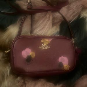 Coach mini crossbody